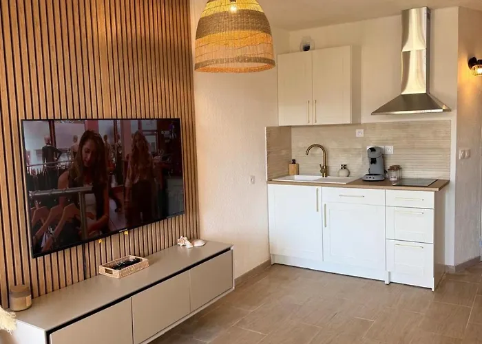 Apartman Vue Port, Piscine Et Parking 4 Couchages Entierement Renove Agde